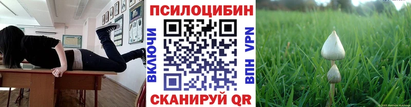 Псилоцибиновые грибы прущие грибы  купить наркотики цена  Джанкой 