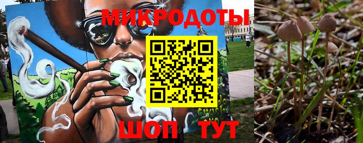 Псилоцибиновые грибы прущие грибы Джанкой